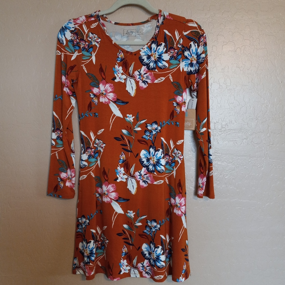 Stitch Fix Bixby Nomad Alyza Floral Swing Dress
